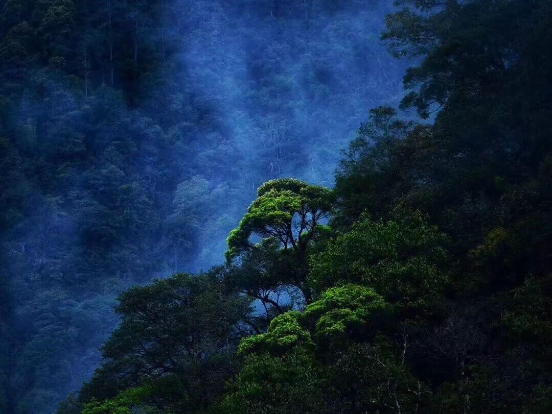 探探猫宝石岛3
