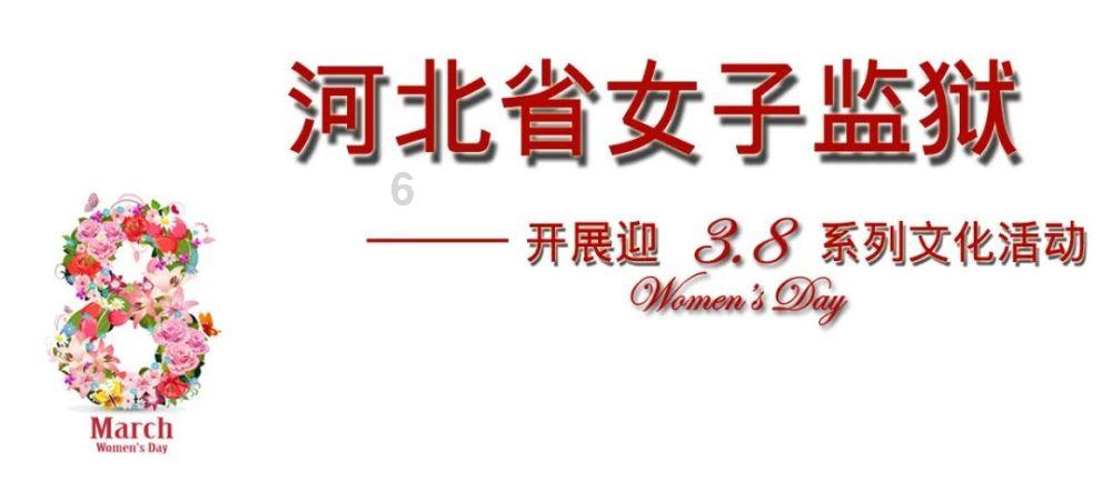 创作猫