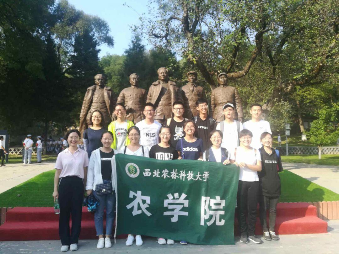 便民服务平台激发乡村治理效能